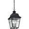 Quoizel Millhouse Outdoor Hanging Lantern MHE1910K - alternate 5
